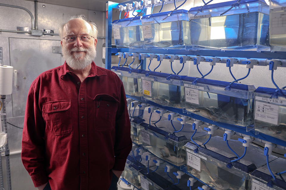 A man stands in front of shelves in a freezer.